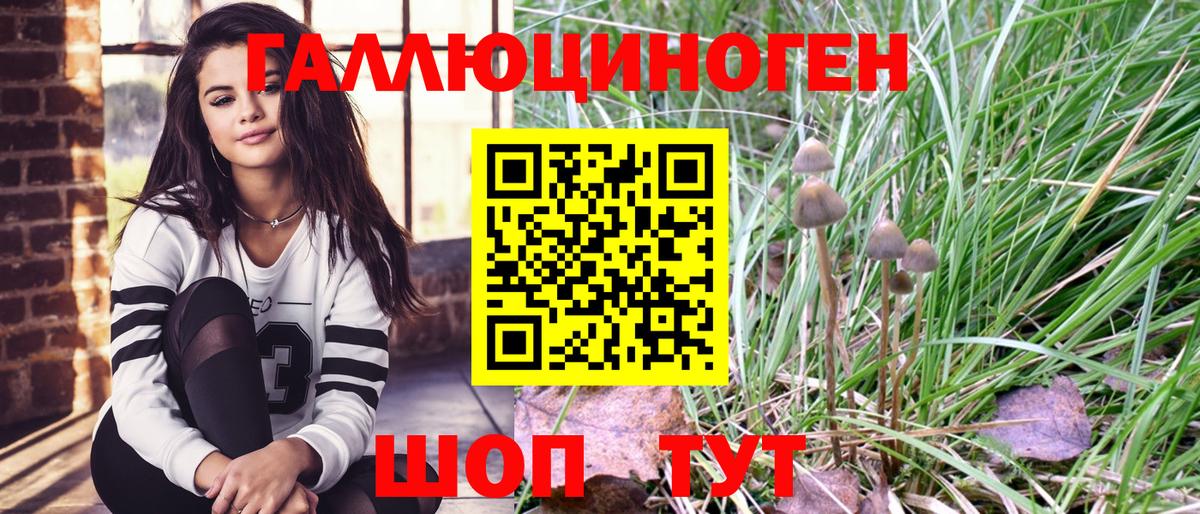 Губкинский  Галлюциногенные грибы Cubensis  дарнет шоп  Вход с VPN 